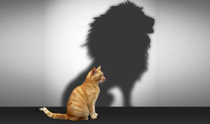 چرا بعضی ها در خوابگاه پسرانه تلاشی برای افزایش اعتماد به نفس نمی کنند؟